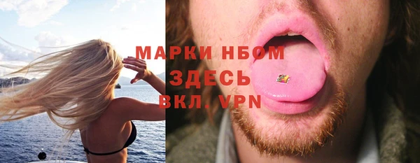 ПСИЛОЦИБИНОВЫЕ ГРИБЫ Арсеньев