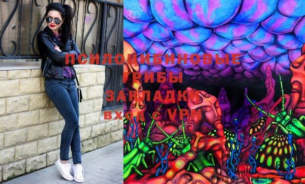 ПСИЛОЦИБИНОВЫЕ ГРИБЫ Арсеньев