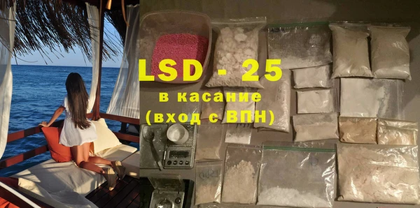 ПСИЛОЦИБИНОВЫЕ ГРИБЫ Арсеньев