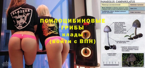 молекула духа Аркадак